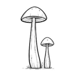 coloriage Champignon et apprentissage