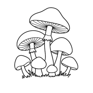 coloriage Champignons de la forêt et dessin a imprimer