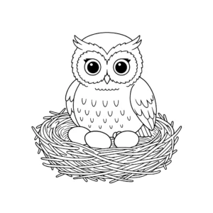 coloriage Hibou educatif pour enfant