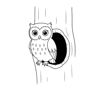 coloriage Hibou à imprimer pdf gratuit