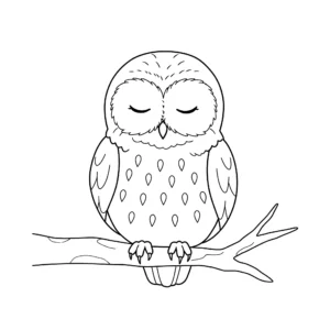 coloriage Hibou des marais à imprimer