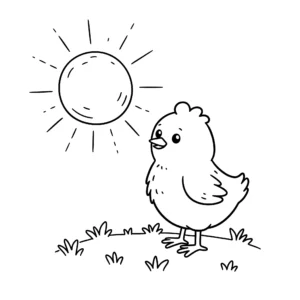 coloriage Le poussin et le soleil d