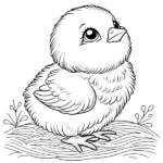 Poussin