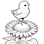 a imprimer coloriage Poussin gratuit