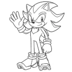 Shadow