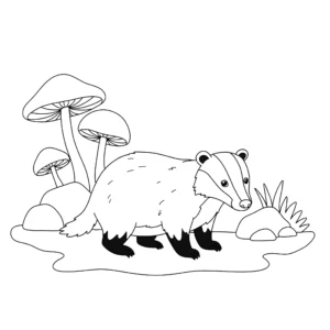 coloriage Blaireau pour enfant de 7 ans