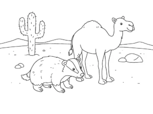 coloriage Blaireau d