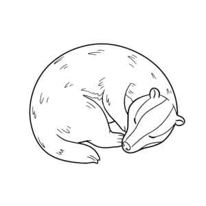 coloriage Blaireau à imprimer pour enfant de 8 ans