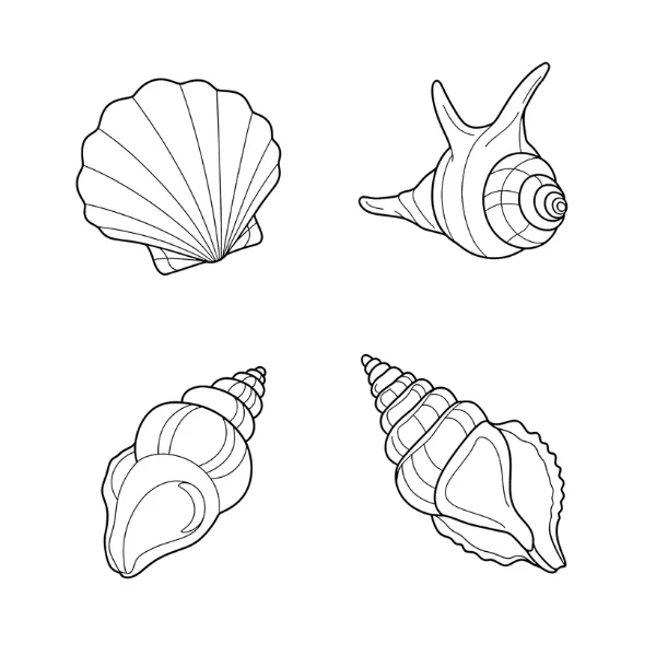 Tranh tô màu Coquillage