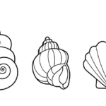 a imprimer coloriage Coquillage gratuit