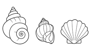 a imprimer coloriage Coquillage gratuit