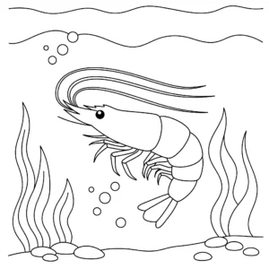 coloriage Coquillage gratuit en ligne