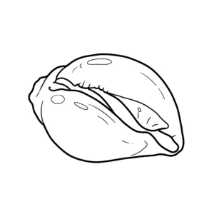coloriage Coquillage pour enfants à télécharger