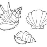 coloriage Coquillage educatif pour enfant