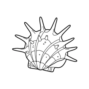 coloriage Coquillage pour primaire