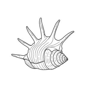 imprimer coloriage Coquillage gratuit