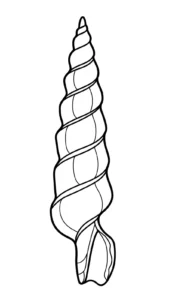 coloriage Coquillage à imprimer gratuitement pdf