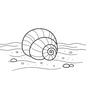 coloriage Coquillage pour enfant de 10 ans