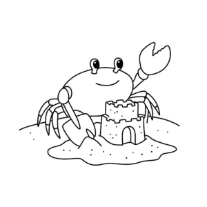 coloriage Coquillage et apprentissage