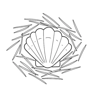 coloriage Coquillage gratuit à imprimer