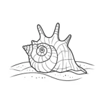 coloriage Coquillage a dessiner en ligne
