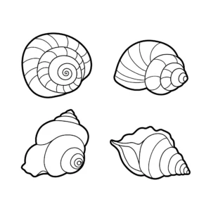 a imprimer coloriage Coquillage gratuit