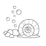 coloriage Coquillage pour enfants a imprimer