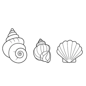 coloriage Coquillage à imprimer pour enfant de 9 ans