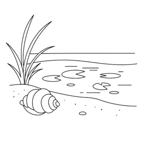 coloriage Coquillage d