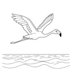coloriage Flamant Rose a imprimer