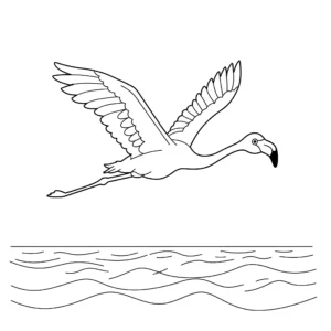 coloriage Flamant Rose a imprimer