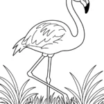 coloriage Flamant Rose pour enfant de 10 ans