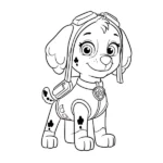 Skye