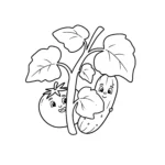 coloriage Tomate pour enfant a imprimer gratuit