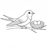 coloriage Hirondelle a dessiner et imprimer