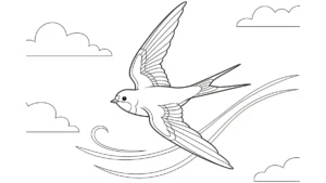 coloriage Hirondelle educatif pour enfant