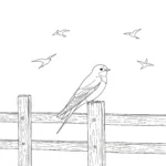 coloriage Hirondelle gratuit
