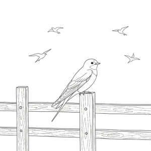 coloriage Hirondelle gratuit