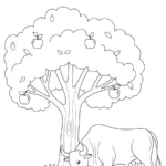 coloriage Taureau à imprimer pdf gratuit