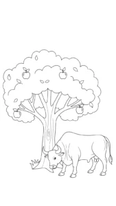 coloriage Taureau à imprimer pdf gratuit