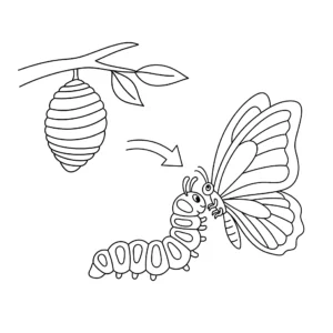 coloriage Insecte pour bebe a imprimer