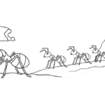 coloriage Insecte à imprimer pour enfant de 4 ans