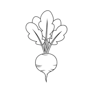 coloriage Radis et dessins