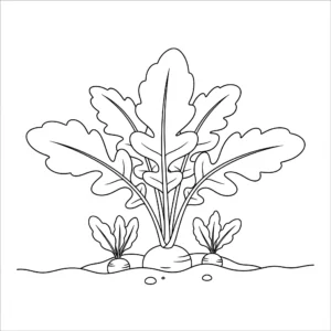 coloriage Radis pour bebe a imprimer