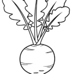 coloriage Radis pour enfant de 7 ans