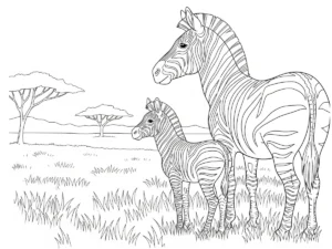 coloriage Zebre à imprimer pour enfant de 10 ans