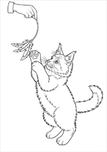 imprimer coloriage Chat updated pour enfant