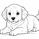 coloriage Golden Retriever à imprimer pour enfant de 10 ans