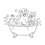 coloriage Golden Retriever à imprimer a4