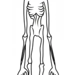 coloriage Siren Head pour enfant